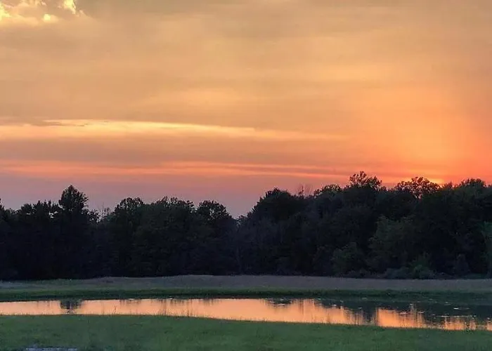 Purple Skies Homestead